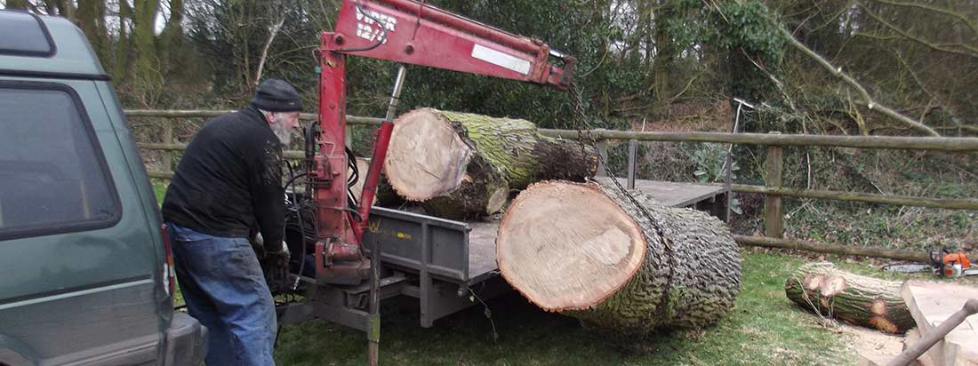Tree Stump Removal